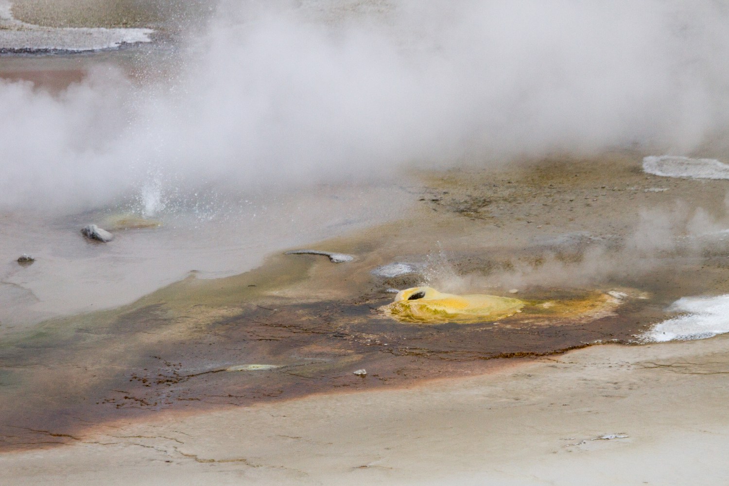 Steam drifting over the pale thermal ground of Porcelain Basin at Norris.