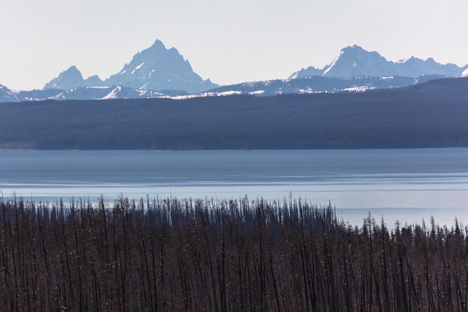 Yellowstone Lake spread out below the road with the Teton peaks far off on the skyline.